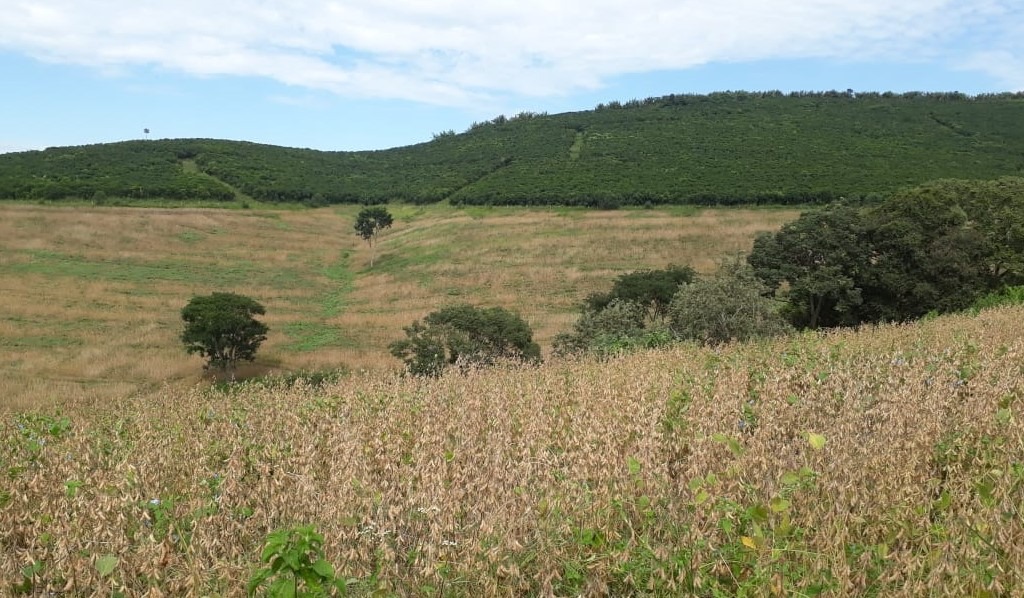 Fazenda à venda com 6 quartos, 4578000m² - Foto 12
