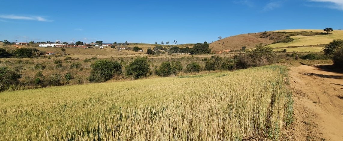 Fazenda à venda com 6 quartos, 4578000m² - Foto 13