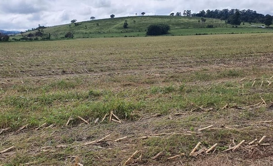 Fazenda à venda com 6 quartos, 4578000m² - Foto 17