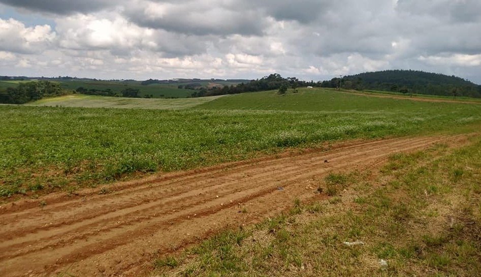 Fazenda à venda com 6 quartos, 4578000m² - Foto 18