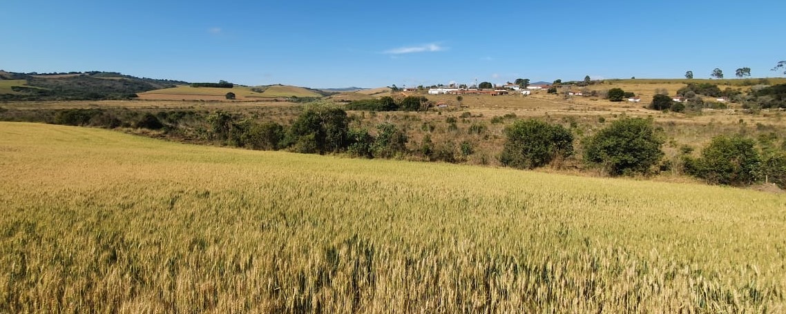 Fazenda à venda com 6 quartos, 4578000m² - Foto 19