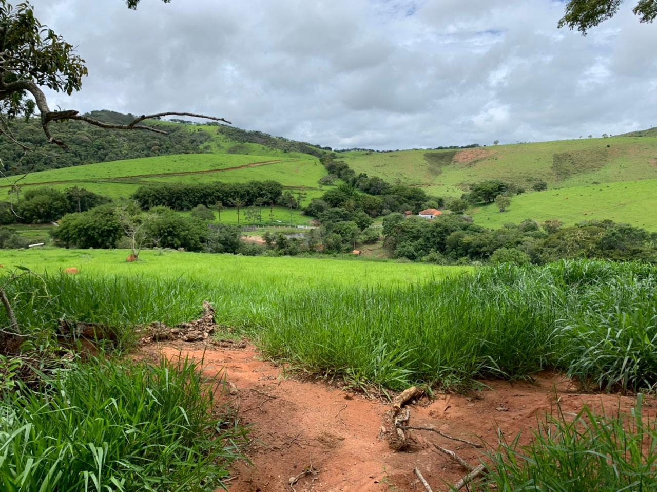 Fazenda à venda com 6 quartos, 4578000m² - Foto 21