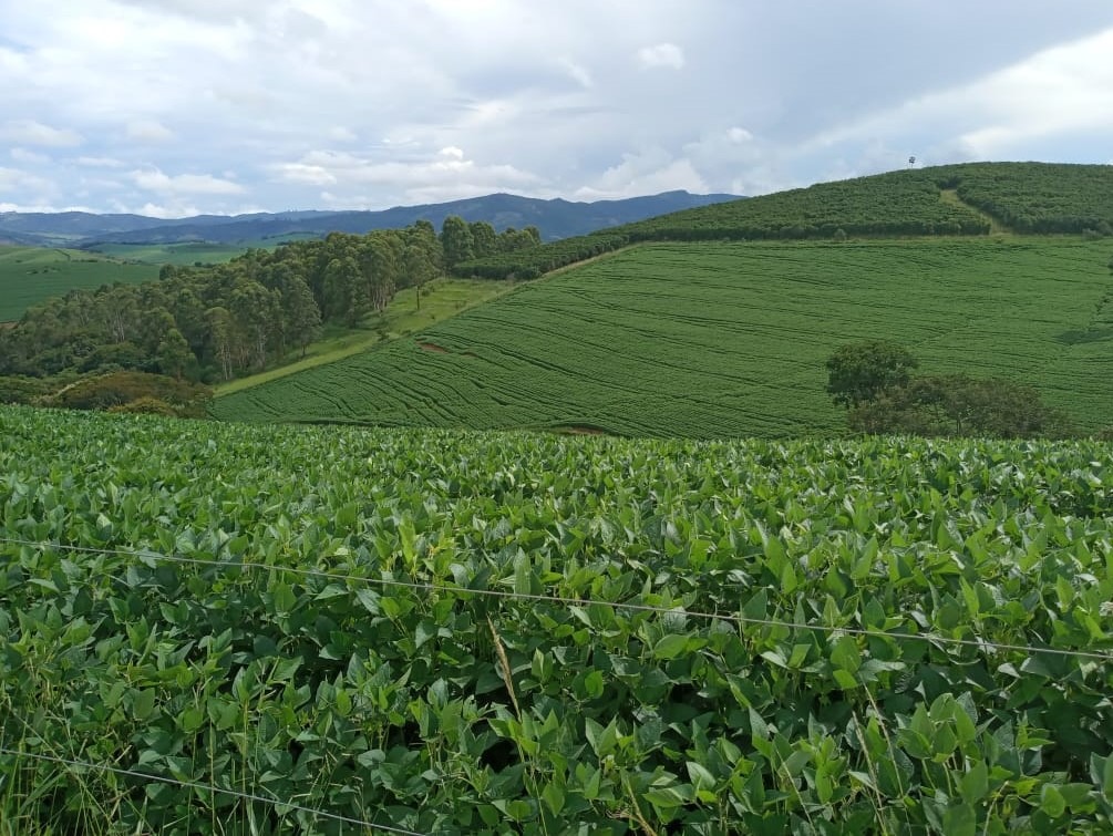 Fazenda à venda com 6 quartos, 4578000m² - Foto 2