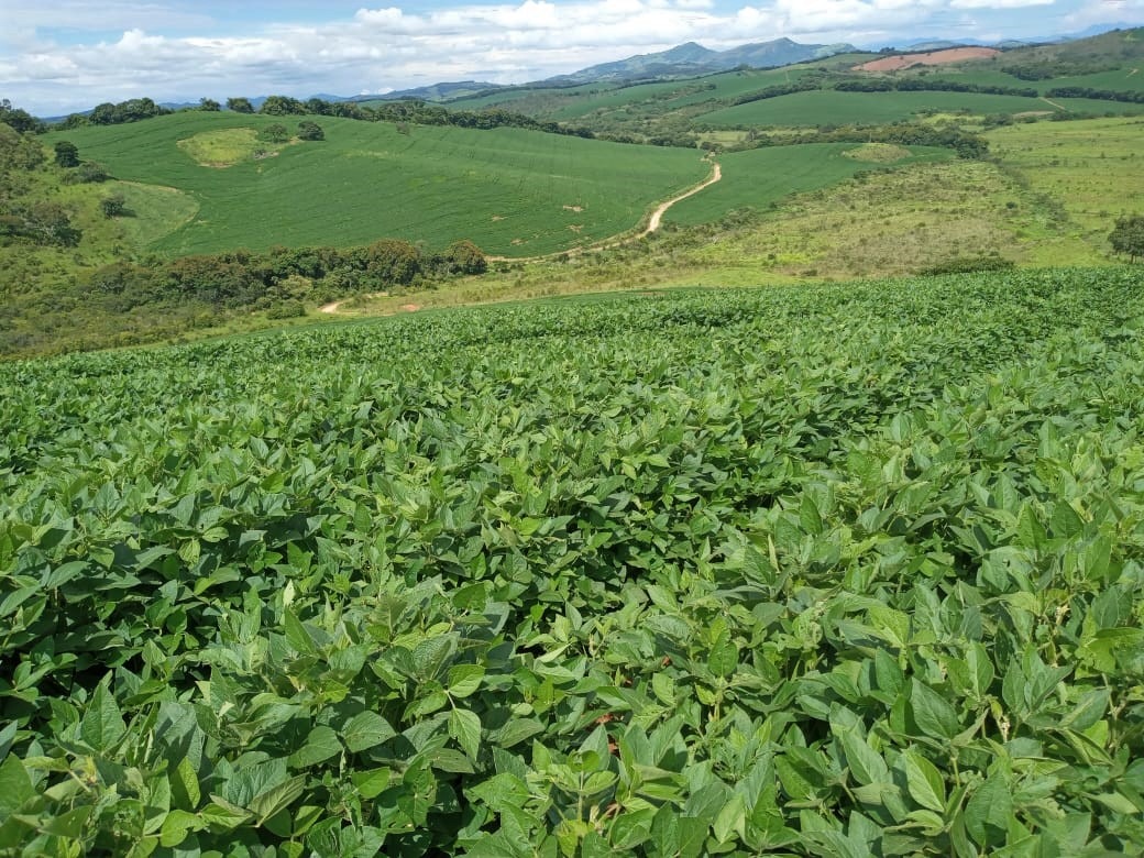 Fazenda à venda com 6 quartos, 4578000m² - Foto 3