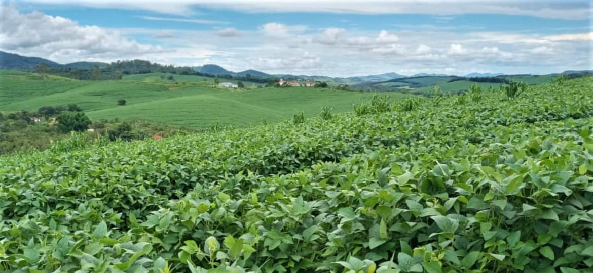 Fazenda à venda com 6 quartos, 4578000m² - Foto 4