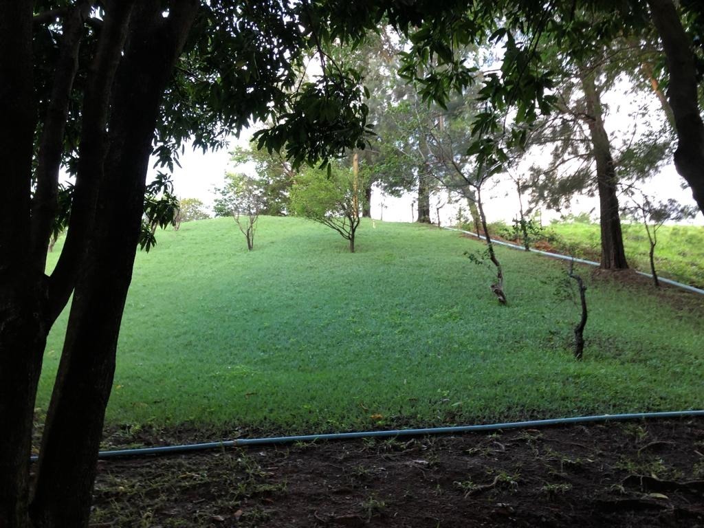 Sítio à venda com 2 quartos, 196100m² - Foto 11