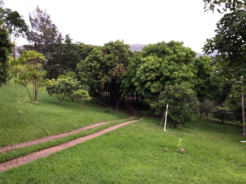 Sítio à venda com 2 quartos, 196100m² - Foto 12