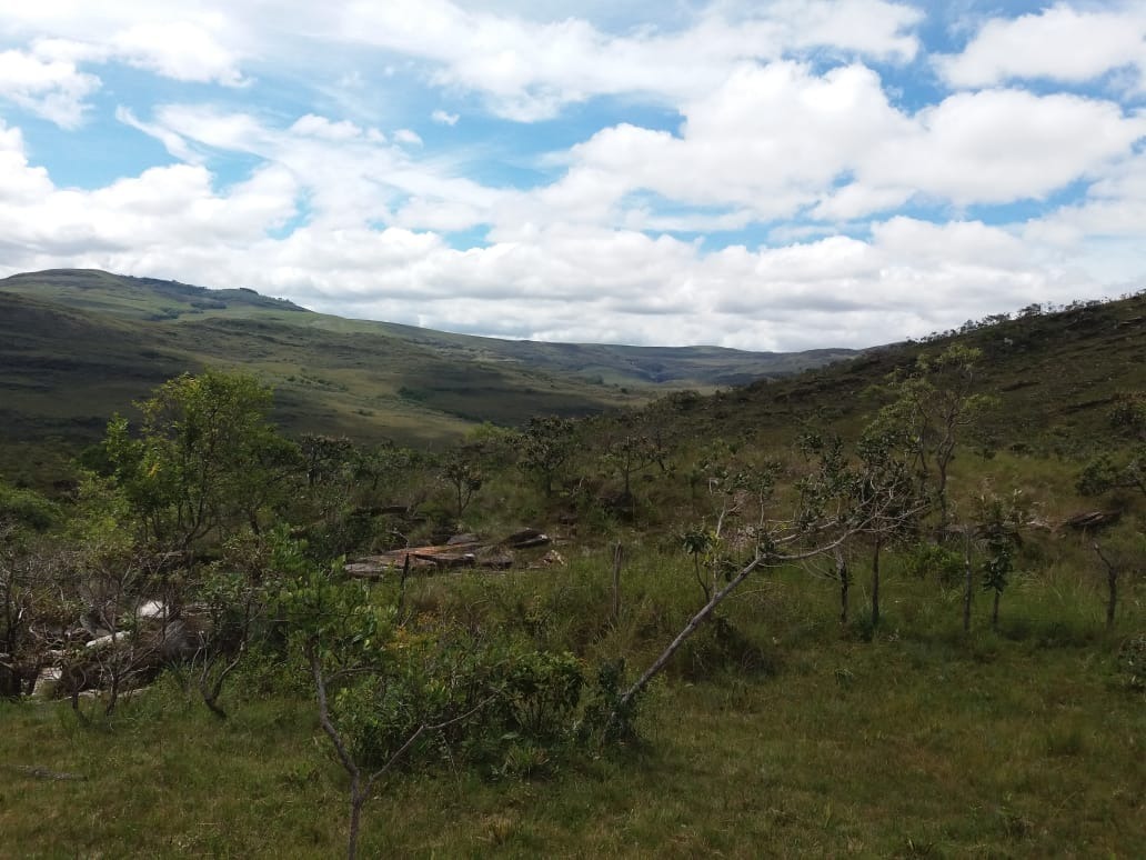 Sítio à venda com 1 quarto, 12200m² - Foto 3