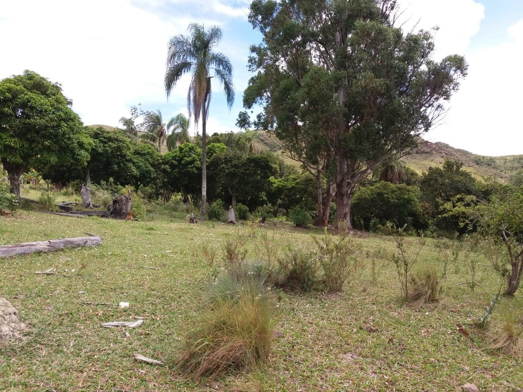 Sítio à venda com 1 quarto, 12200m² - Foto 6