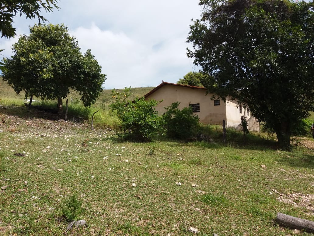 Sítio à venda com 1 quarto, 12200m² - Foto 10
