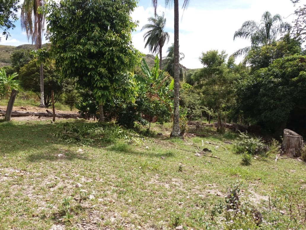 Sítio à venda com 1 quarto, 12200m² - Foto 8