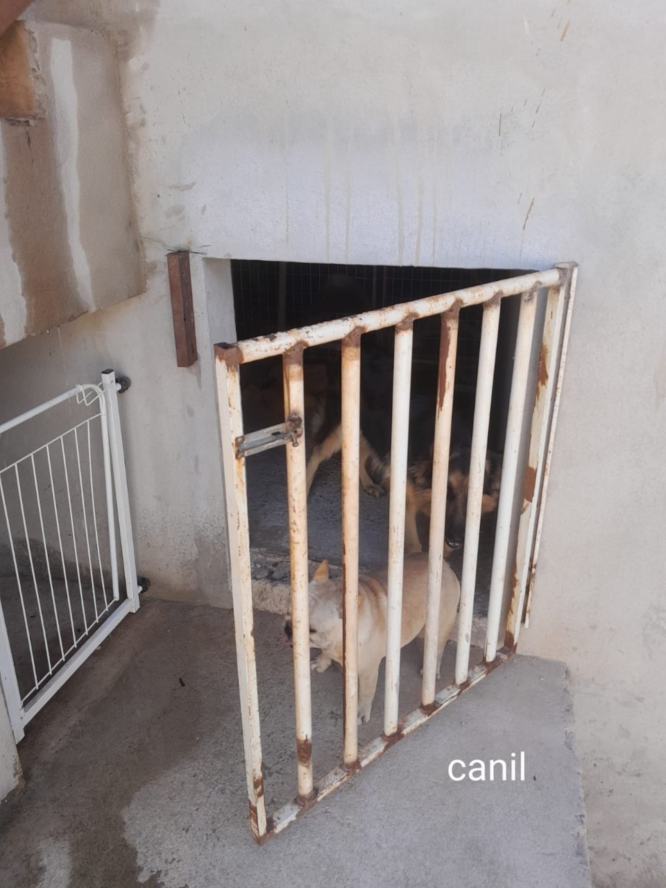 Casa de Condomínio à venda com 3 quartos - Foto 6