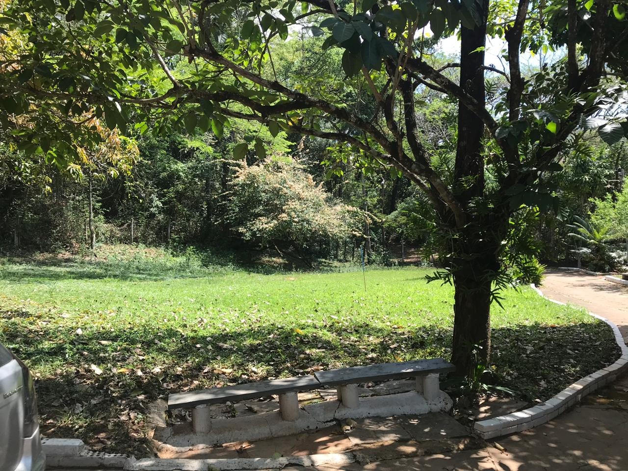 Sítio à venda com 2 quartos, 240000m² - Foto 12