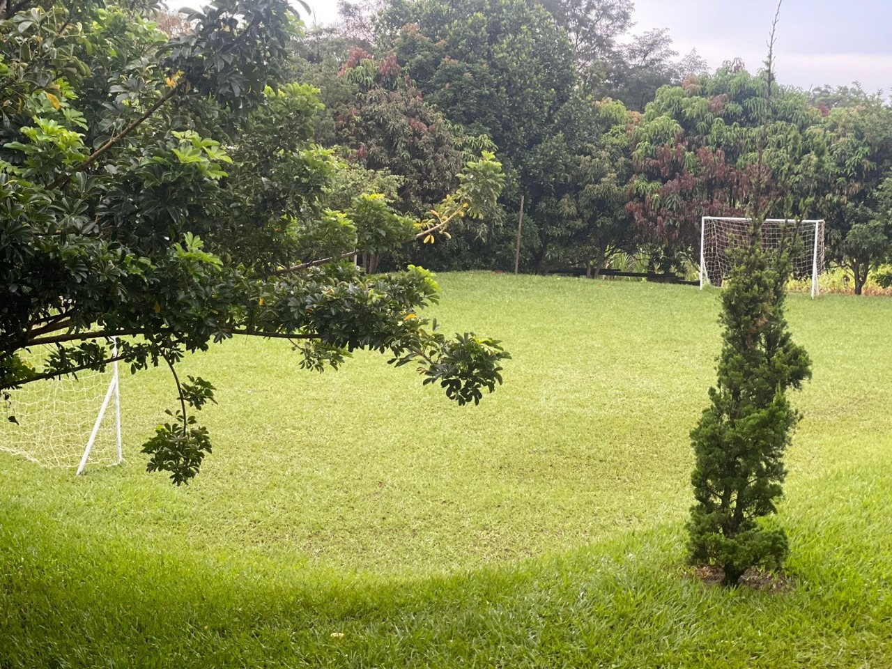 Sítio à venda com 175 quartos, 3500m² - Foto 3