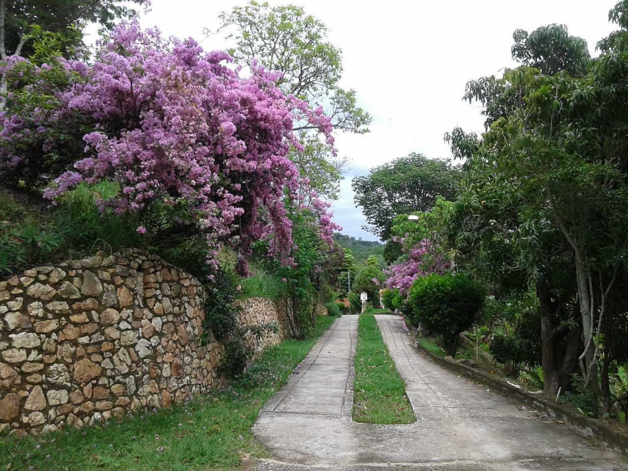 Sítio à venda com 8 quartos, 20000m² - Foto 5