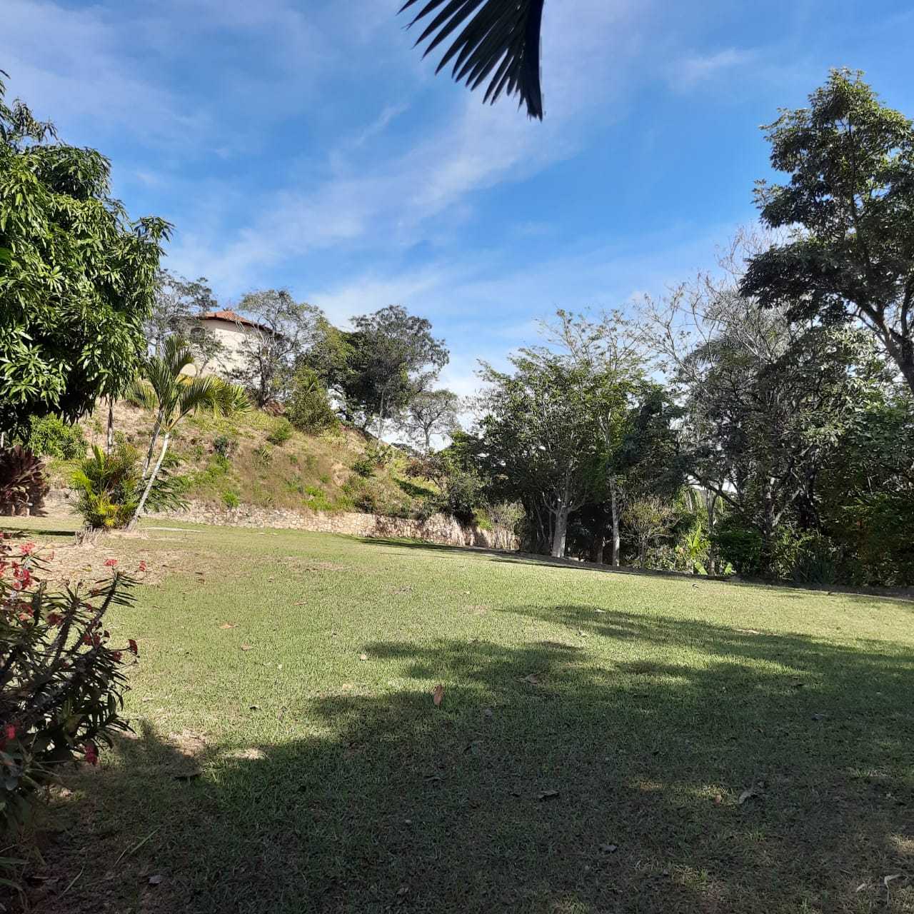 Sítio à venda com 8 quartos, 20000m² - Foto 18