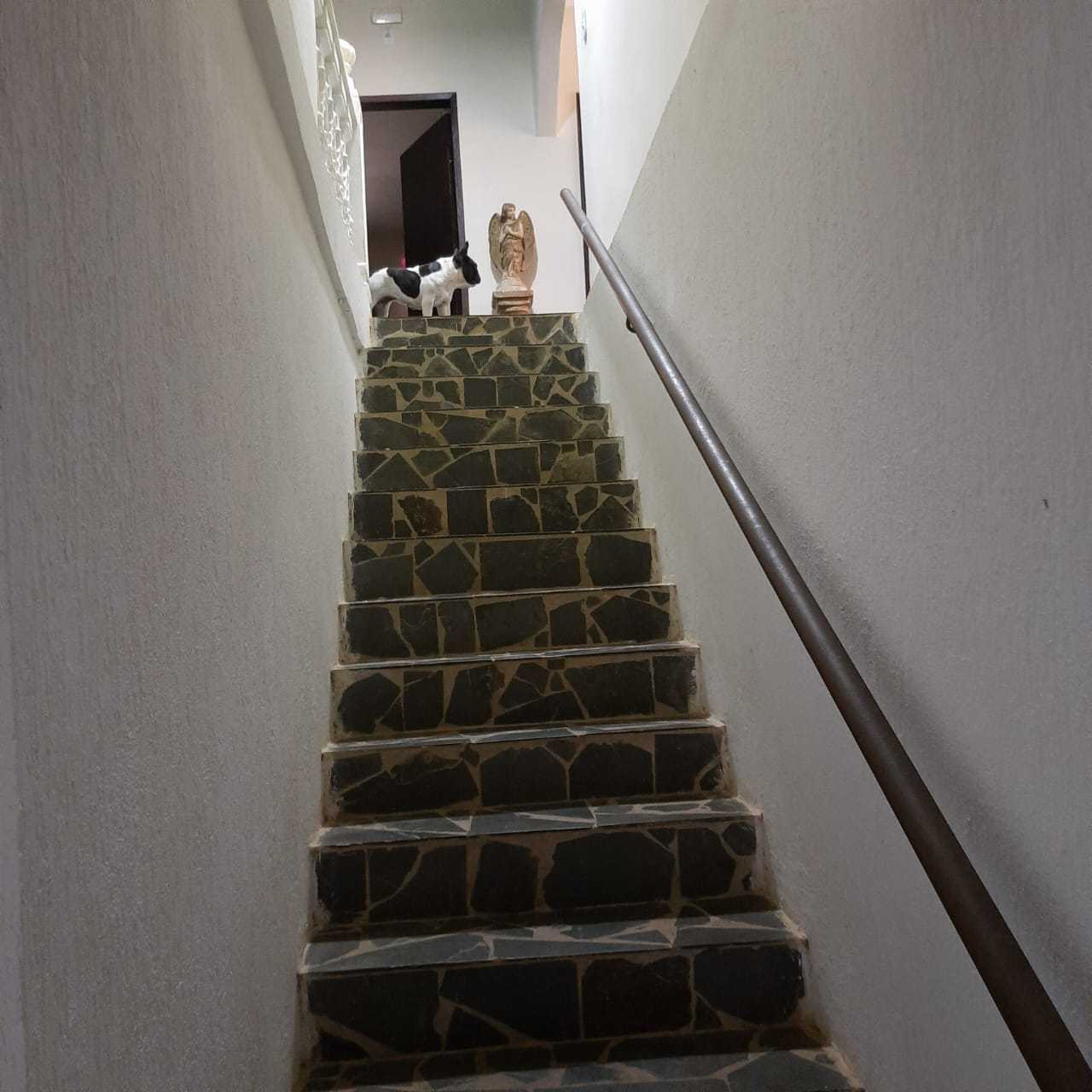 Sítio à venda com 8 quartos, 20000m² - Foto 10