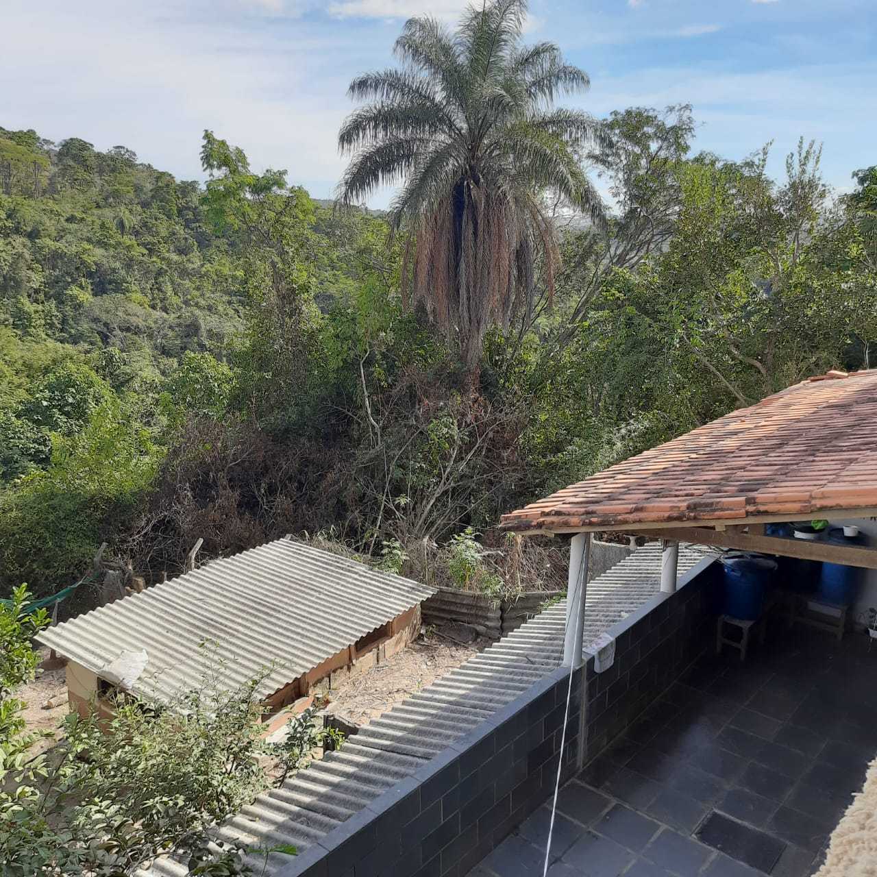 Sítio à venda com 8 quartos, 20000m² - Foto 17