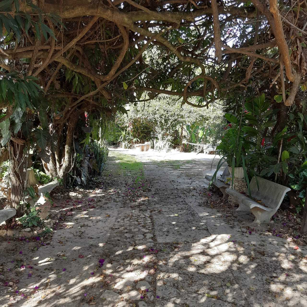 Sítio à venda com 8 quartos, 20000m² - Foto 21