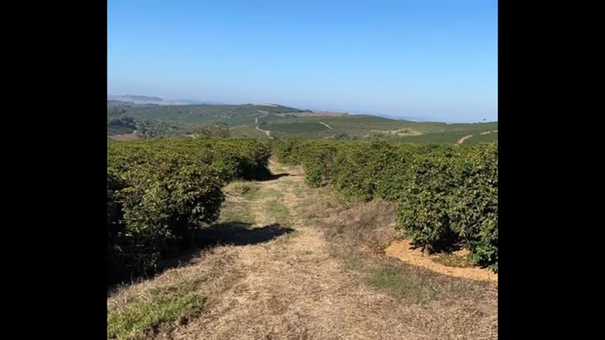 Fazenda à venda com 3 quartos, 4110000m² - Foto 11