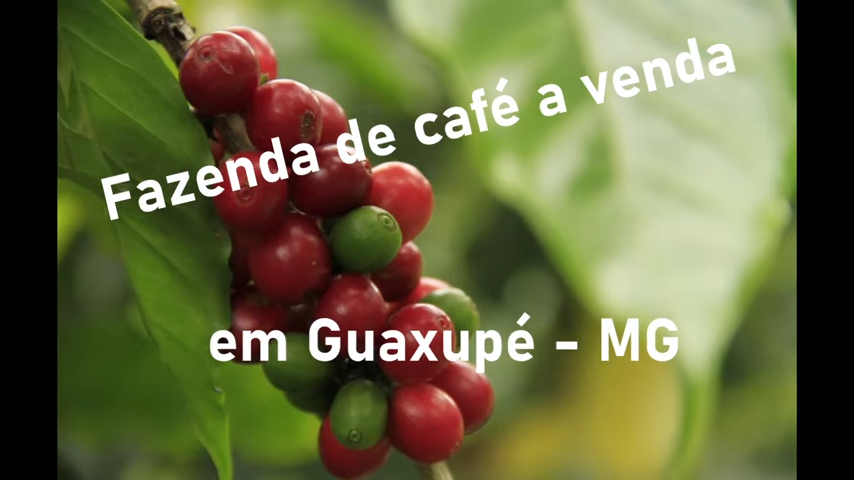 Fazenda à venda com 3 quartos, 4110000m² - Foto 1