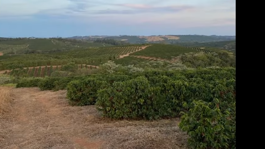 Fazenda à venda com 3 quartos, 4110000m² - Foto 18