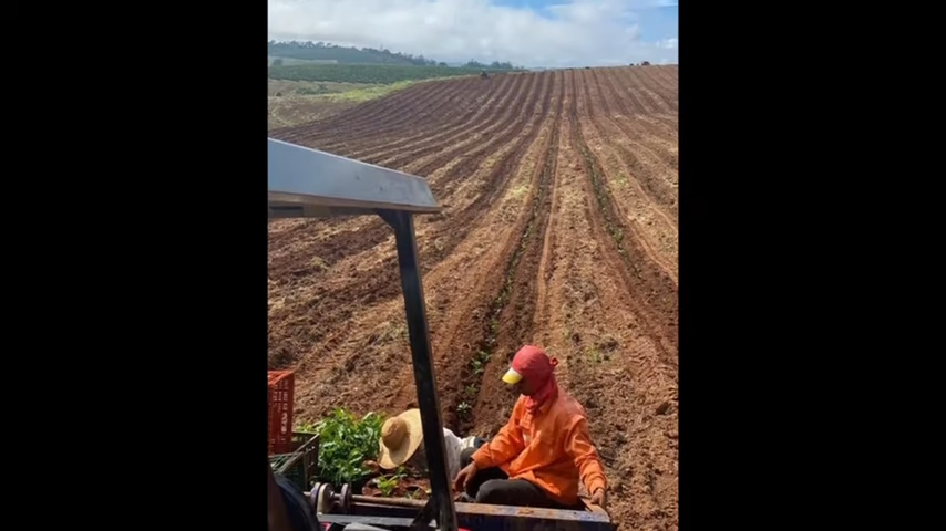 Fazenda à venda com 3 quartos, 4110000m² - Foto 15