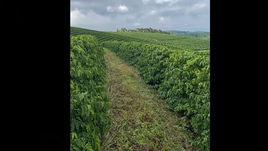Fazenda à venda com 3 quartos, 4110000m² - Foto 14