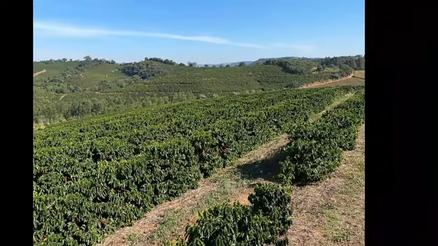 Fazenda à venda com 3 quartos, 4110000m² - Foto 16