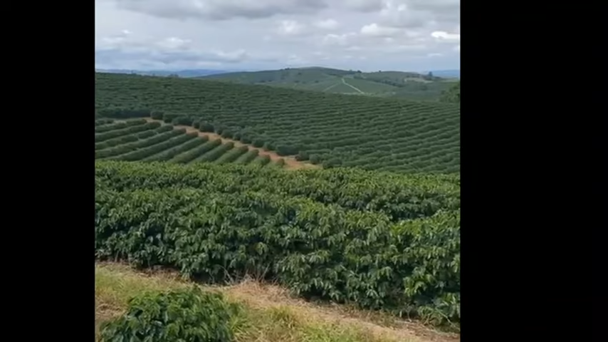 Fazenda à venda com 3 quartos, 4110000m² - Foto 5