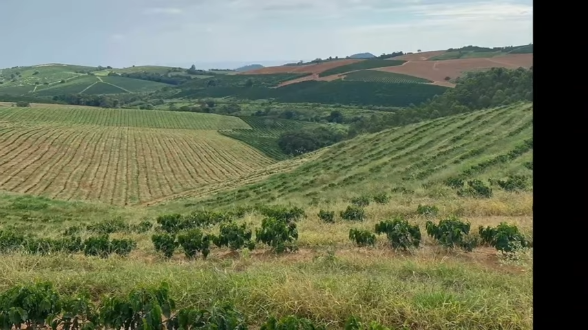 Fazenda à venda com 3 quartos, 4110000m² - Foto 19