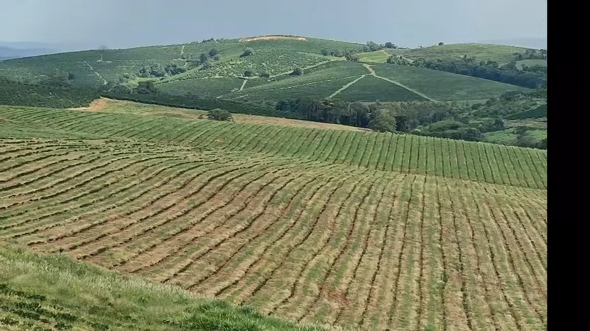 Fazenda à venda com 3 quartos, 4110000m² - Foto 20