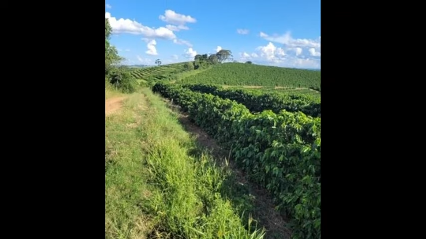 Fazenda à venda com 3 quartos, 4110000m² - Foto 9