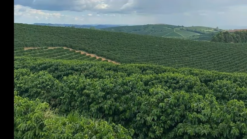 Fazenda à venda com 3 quartos, 4110000m² - Foto 2