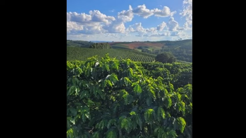 Fazenda à venda com 3 quartos, 4110000m² - Foto 6
