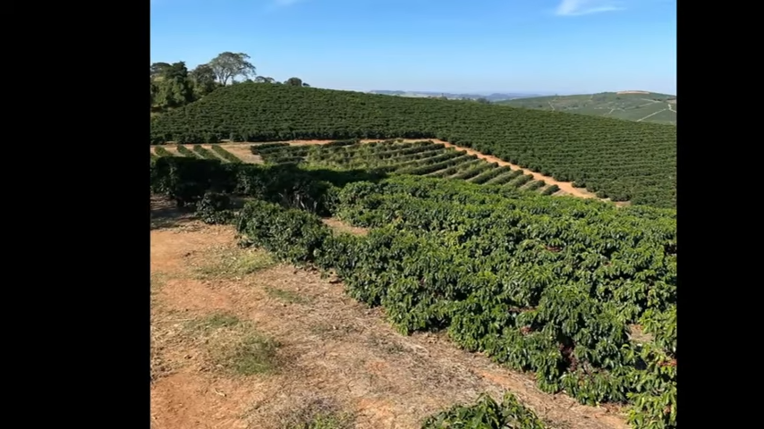 Fazenda à venda com 3 quartos, 4110000m² - Foto 21