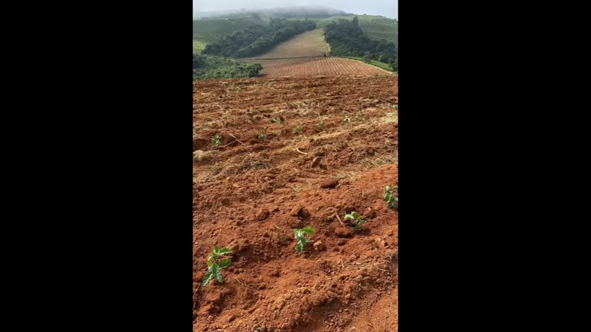 Fazenda à venda com 3 quartos, 4110000m² - Foto 4