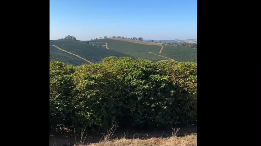 Fazenda à venda com 3 quartos, 4110000m² - Foto 17
