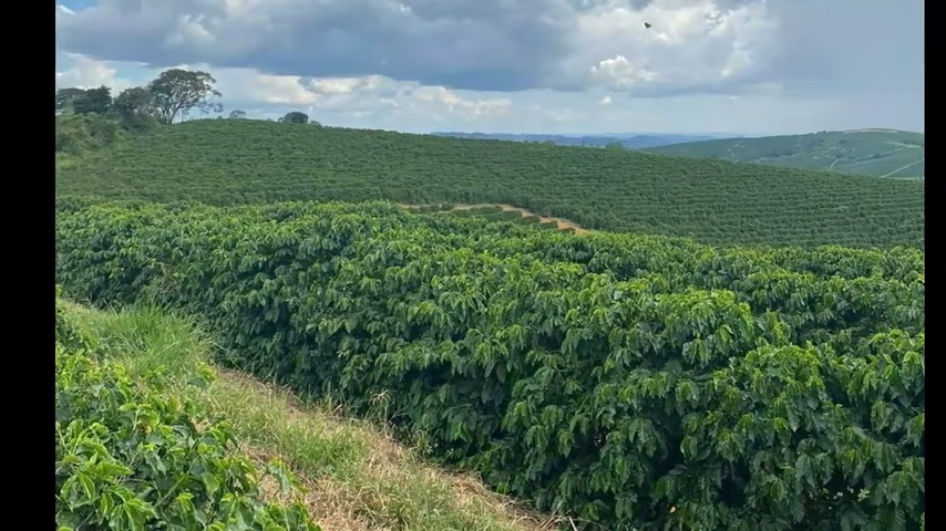 Fazenda à venda com 3 quartos, 4110000m² - Foto 8