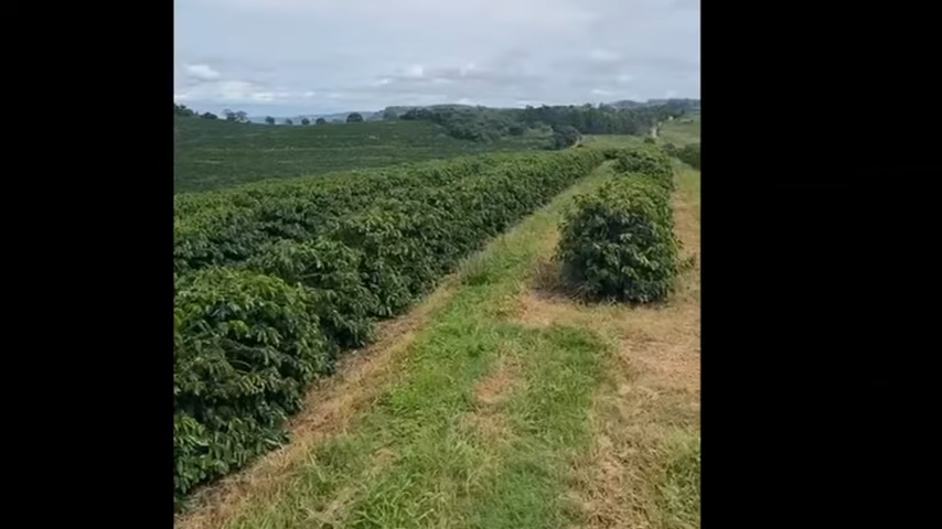 Fazenda à venda com 3 quartos, 4110000m² - Foto 22