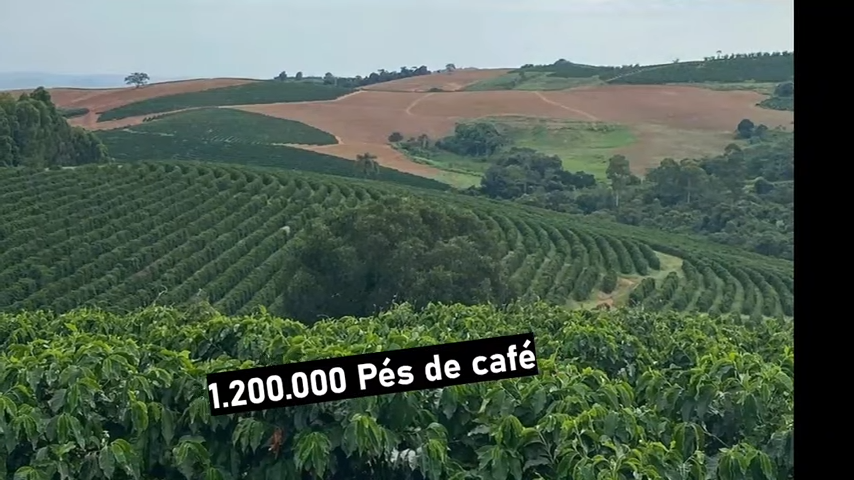 Fazenda à venda com 3 quartos, 4110000m² - Foto 10