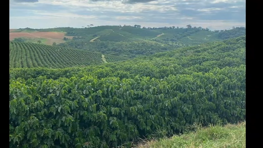 Fazenda à venda com 3 quartos, 4110000m² - Foto 12