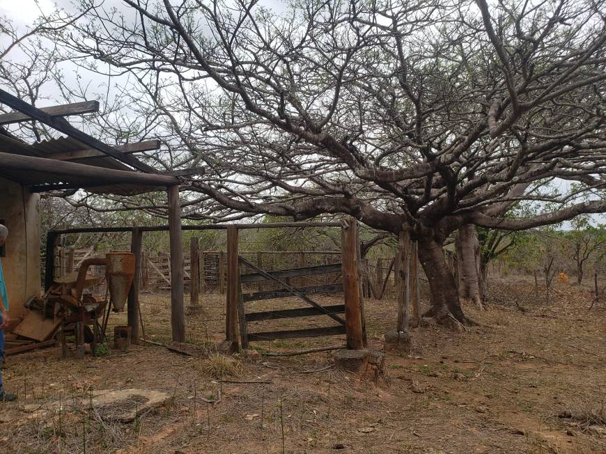 Chácara à venda com 1 quarto, 2620m² - Foto 6