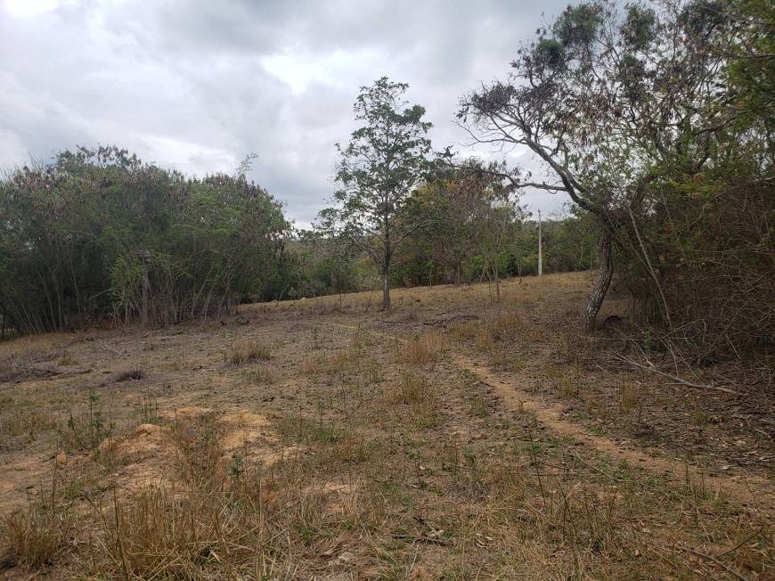 Chácara à venda com 1 quarto, 2620m² - Foto 8