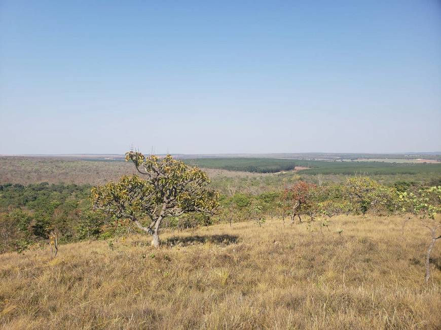 Chácara à venda com 1 quarto, 2620m² - Foto 10