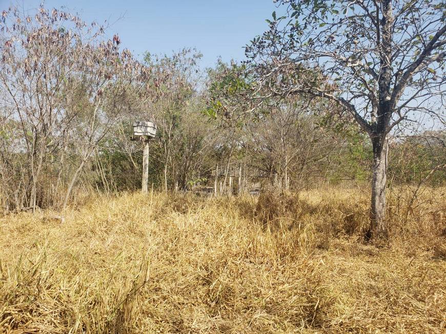 Chácara à venda com 1 quarto, 2620m² - Foto 9