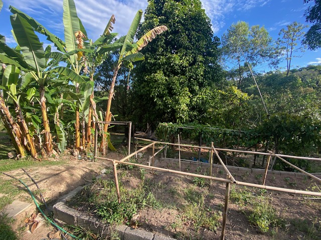 Sítio à venda com 3 quartos, 500m² - Foto 6