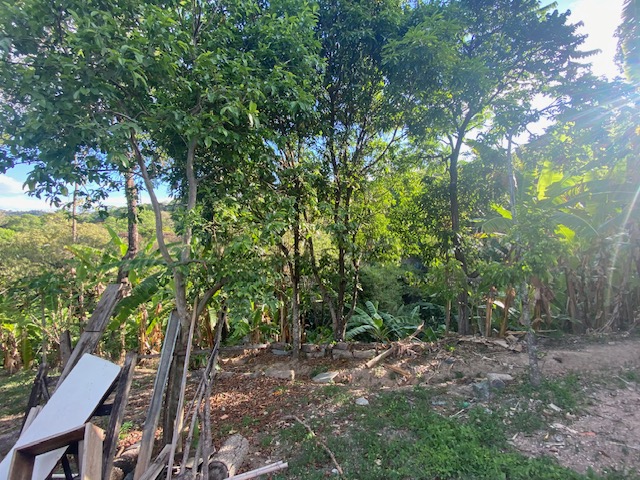 Sítio à venda com 3 quartos, 500m² - Foto 10