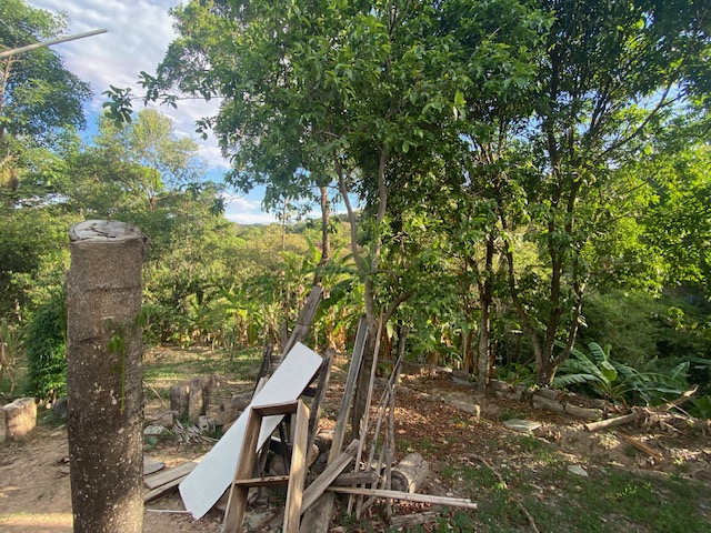 Sítio à venda com 3 quartos, 500m² - Foto 8