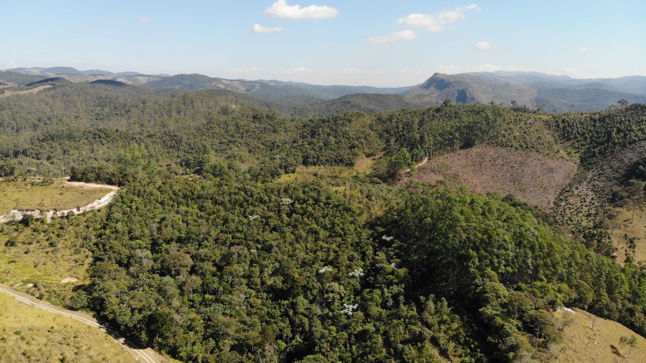 Sítio à venda com 11 quartos, 210000m² - Foto 15